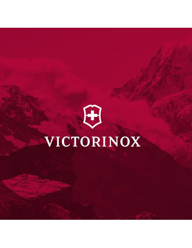 Cuchillo de Cocina Victorinox Swiss Classic Dux 21 cm Negro