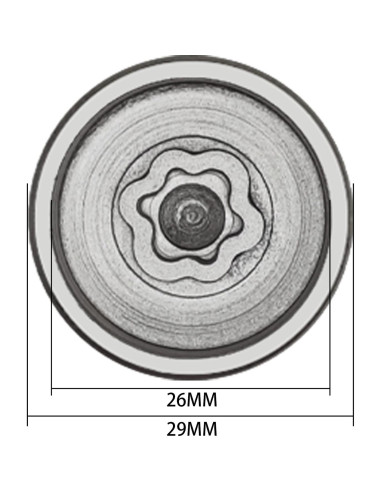 Llave de Bloqueo de Rueda JEUCLEL 074 para BMW Mini 29mm