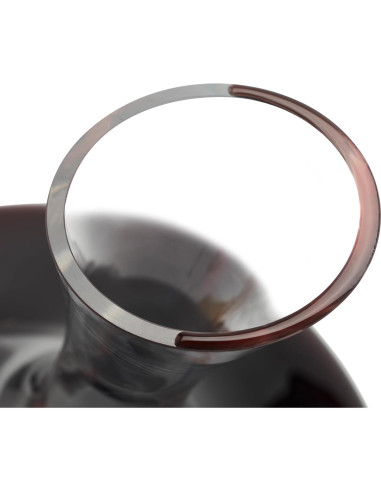 Juego de Decantador de Vino Vivid Wine Enthusiast 1.39L