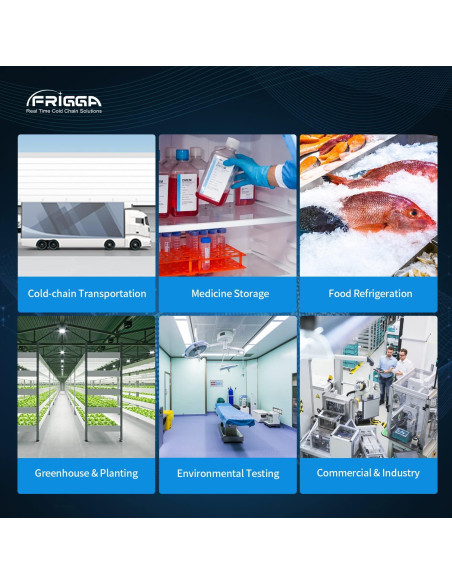 Registrador de Datos de Temperatura Frigga M1E USB Precisión Alta