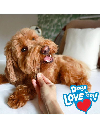 Golosinas Naturales para Perros Nylabone Pollo 187g - 8 Unidades