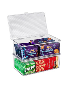 Contenedores de Almacenamiento Sorbus Medianos con Tapa Bisagra - Juego de 2