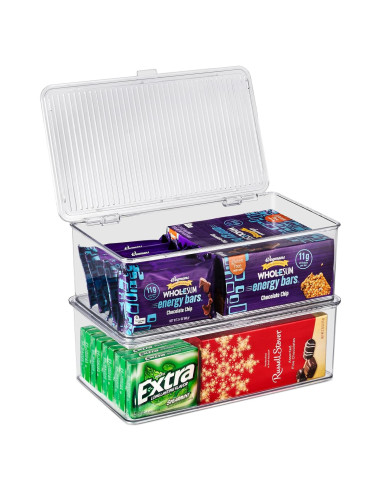 Contenedores de Almacenamiento Sorbus Medianos con Tapa Bisagra - Juego de 2