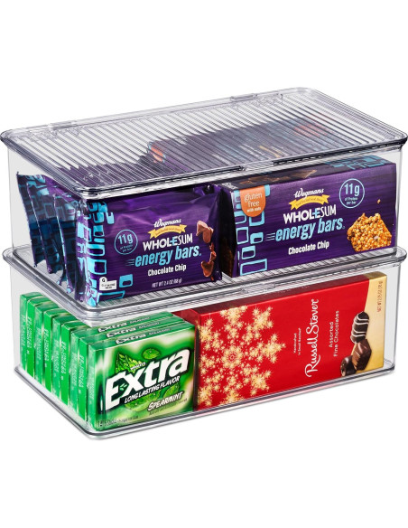 Contenedores de Almacenamiento Sorbus Medianos con Tapa Bisagra - Juego de 2