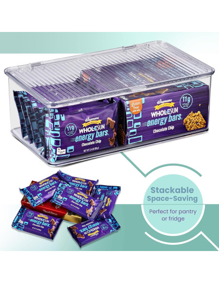 Contenedores de Almacenamiento Sorbus Medianos con Tapa Bisagra - Juego de 2