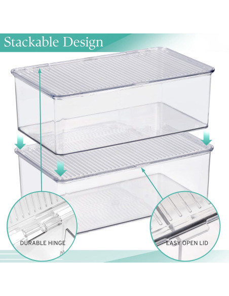 Contenedores de Almacenamiento Sorbus Medianos con Tapa Bisagra - Juego de 2
