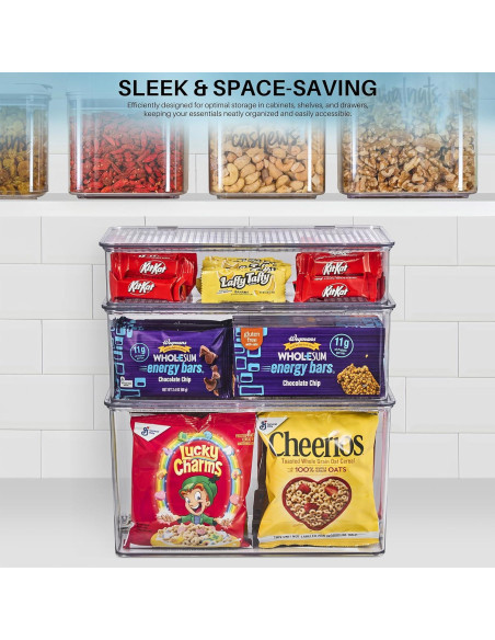 Contenedores de Almacenamiento Sorbus Medianos con Tapa Bisagra - Juego de 2