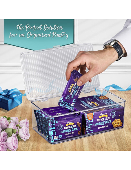 Contenedores de Almacenamiento Sorbus Medianos con Tapa Bisagra - Juego de 2