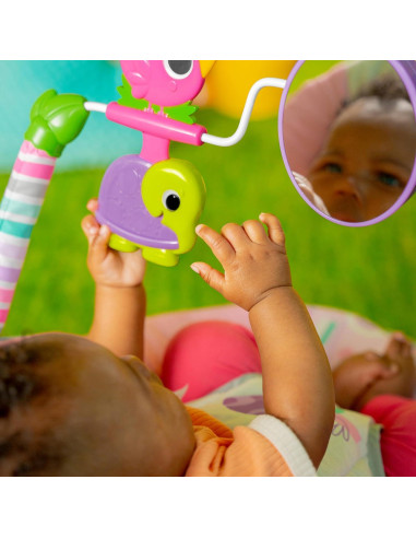 Bouncer Portátil Bright Starts Pink Paradise con Vibraciones