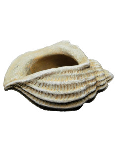 Maceta de Concreto Jagger Shell Classic Home 12.7x8.9x8 cm