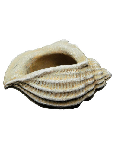Maceta de Concreto Jagger Shell Classic Home 12.7x8.9x8 cm