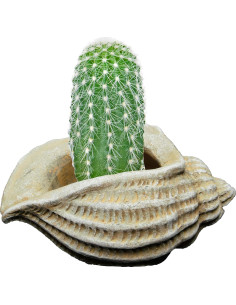 Maceta de Concreto Jagger Shell Classic Home 12.7x8.9x8 cm 2