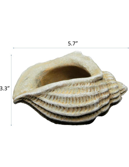 Maceta de Concreto Jagger Shell Classic Home 12.7x8.9x8 cm