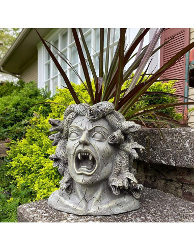 Maceta de Resina Medusa Darware 26.7 cm Decoración Jardín