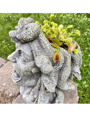 Maceta de Resina Medusa Darware 26.7 cm Decoración Jardín