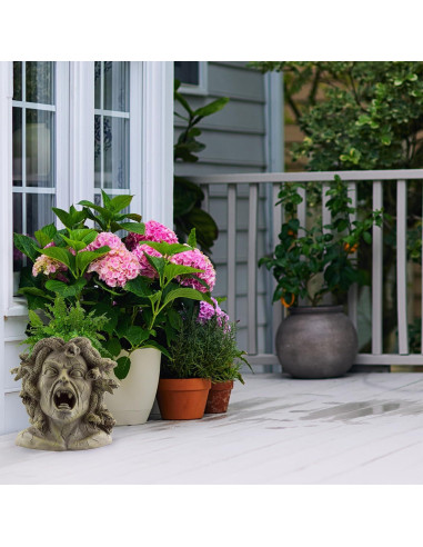 Maceta de Resina Medusa Darware 26.7 cm Decoración Jardín