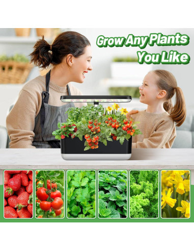 Kit de Cultivo Hidropónico Bigmeta - 30 Esponjas + Alimento A&B