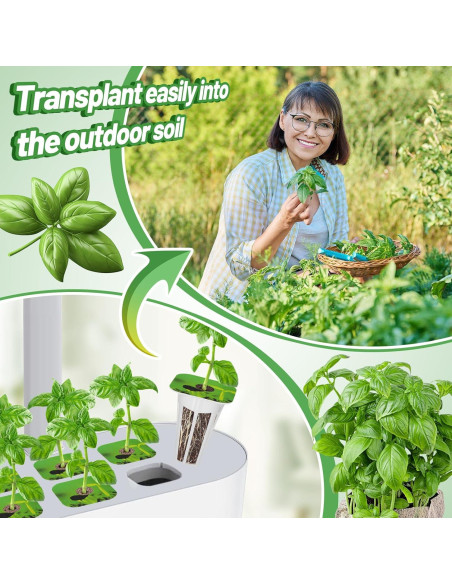 Kit de Cultivo Hidropónico Bigmeta - 30 Esponjas + Alimento A&B