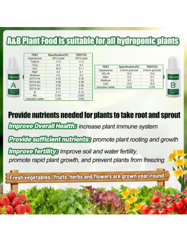 Kit de Cultivo Hidropónico Bigmeta - 30 Esponjas + Alimento A&B