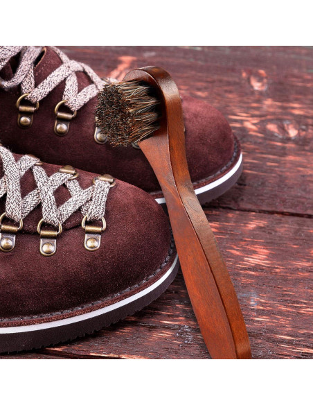 Kit de Cepillos de Pulido de Caballo Jovitec 5 Piezas