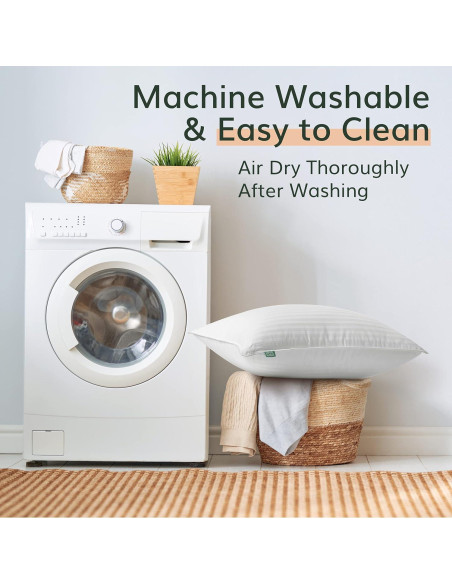 Almohadas Premium Fern y Willow - Juego de 2 - 91cm x 51cm - Suave y Fresca