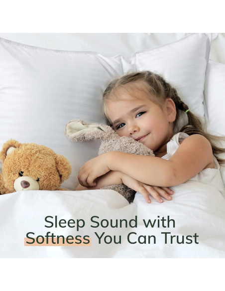 Almohadas Premium Fern y Willow - Juego de 2 - 91cm x 51cm - Suave y Fresca