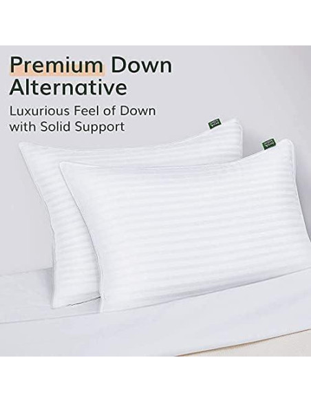 Almohadas Premium Fern y Willow - Juego de 2 - 91cm x 51cm - Suave y Fresca