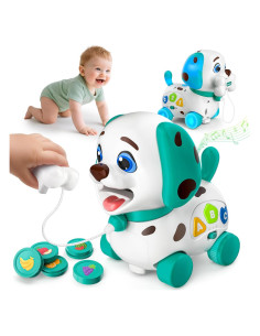 Juguete Musical Educativo HYC Cachorro Verde 4 en 1