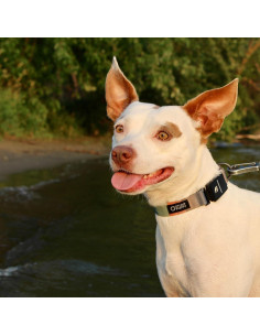 Collar para Perro Stunt Puppy Fi Serie 3 Pequeño Tonos Tierra 2