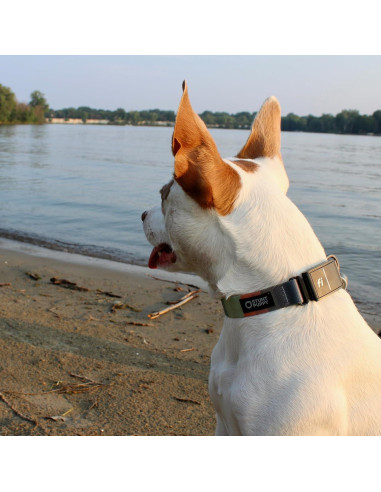 Collar para Perro Stunt Puppy Fi Serie 3 Pequeño Tonos Tierra
