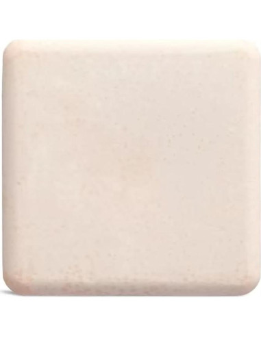 Champú Hidratante ATTITUDE 113.4 g Vegano Aceite de Ricino