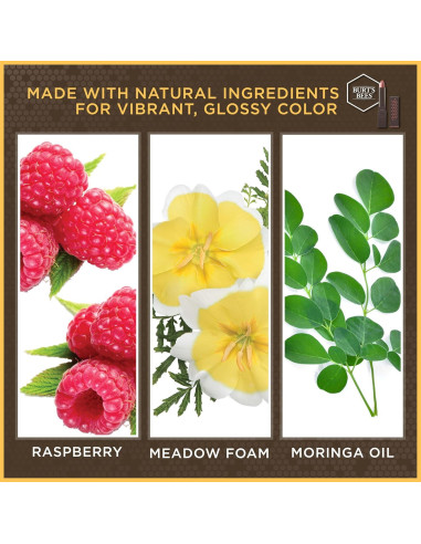 Lápiz Labial Brillante Burt's Bees Nude Mist 1 Tubo 19.5g