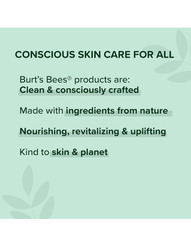 Lápiz Labial Brillante Burt's Bees Nude Mist 1 Tubo 19.5g