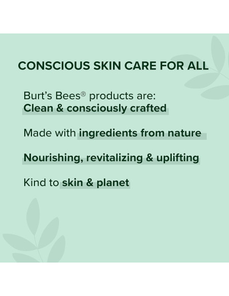 Lápiz Labial Brillante Burt's Bees Nude Mist 1 Tubo 19.5g