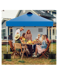 Carpa Plegable Onelike 10x10 con Pared Lateral Azul - Resistente al Agua