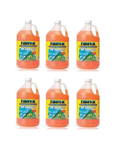 Limpiaparabrisas Rain-X 2-en-1 Deshielo y Insectos 3.785 L