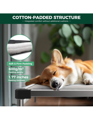 Cama Elevada para Perros FXW TitanNest Negra 58.4x43.2 cm