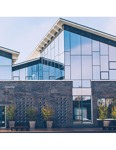 Película de Ventana Lmlpt 30x200 cm Azul Plata Autoadhesiva