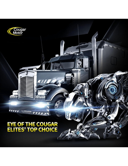 Bombillas de luz de niebla Cougar Motor H4 9003 6500K - Paquete de 2