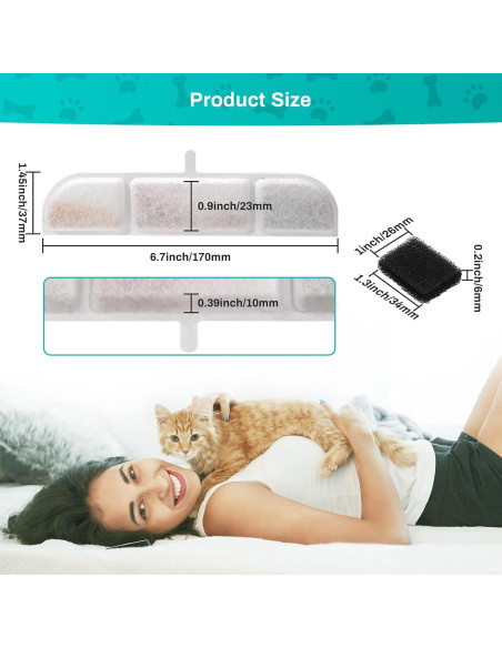 6 Filtros de Reemplazo SgurFin para Fuente de Agua 2.5L