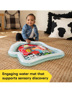 Alfombra de Agua Sensorial Baby Einstein Granja 58x58cm 2