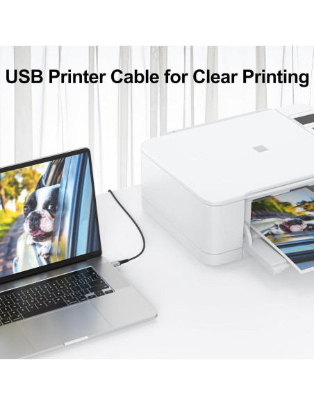 Cable de Impresora USB 1.83m FEMORO A a B 2.0 Alta Velocidad