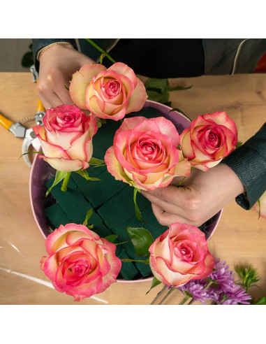 Bloques de Espuma Floral Verde 20x10x7.5 cm - 6 Pcs para Arreglos