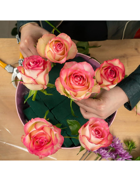 Bloques de Espuma Floral Verde 20x10x7.5 cm - 6 Pcs para Arreglos