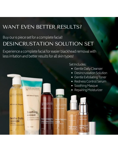 Solución Desincrustante RD Alchemy 120 ml - Remoción Puntos Negros