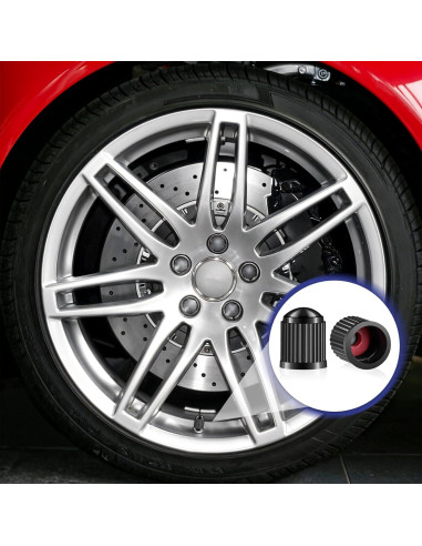 Paquete de 1000 Tapas de Válvula Neumático SynHHergyx