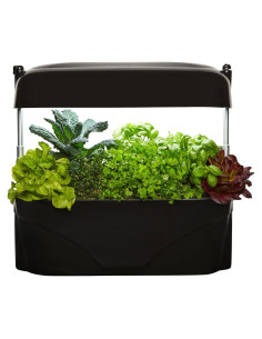 Huerto de Cocina Vegepod Negro - Kit Autorriego LED 60cm