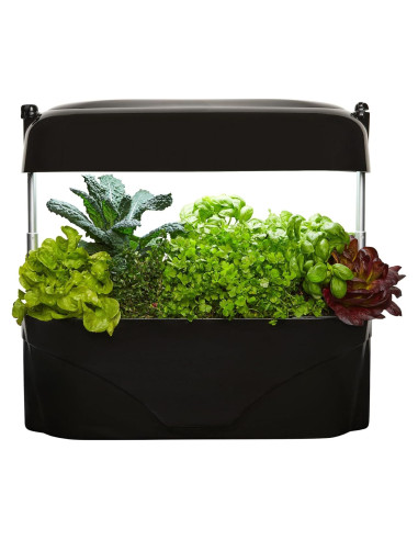 Huerto de Cocina Vegepod Negro - Kit Autorriego LED 60cm