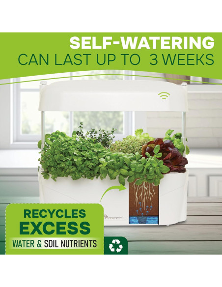 Huerto de Cocina Vegepod Negro - Kit Autorriego LED 60cm