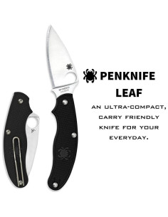 Cuchillo Plegable Spyderco C94PBK 7.62 cm Acero Inoxidable 2